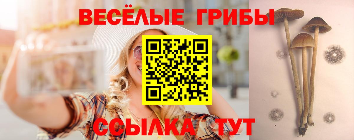 Галлюциногенные грибы Cubensis Москва
